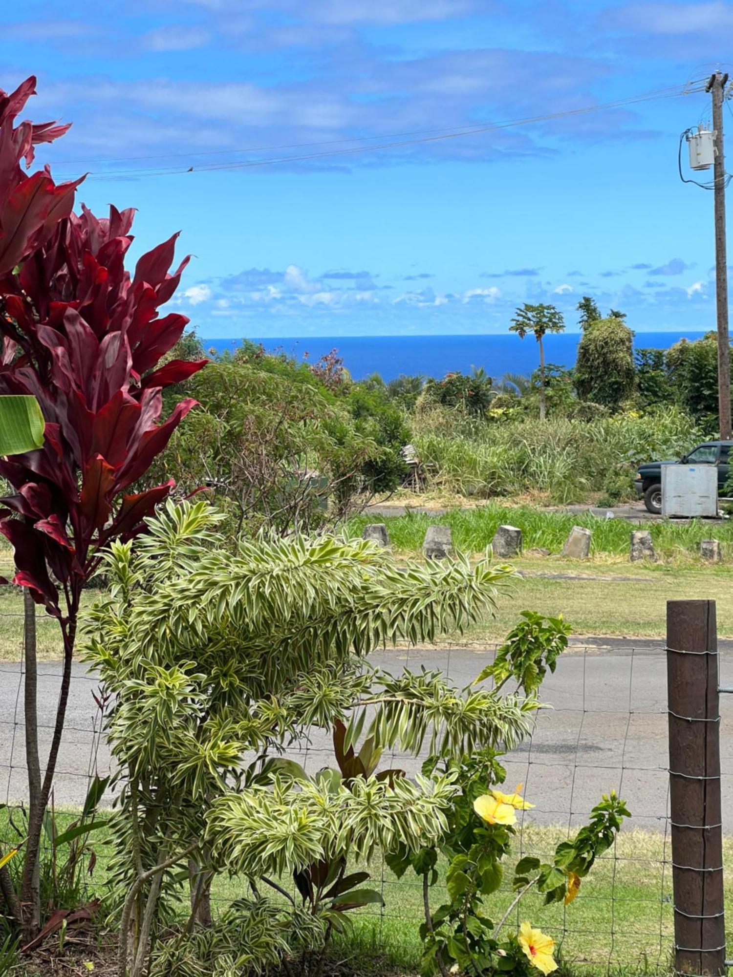Private Ohana On The Lush Hamakua Coast With Ac Honokaa Extérieur photo