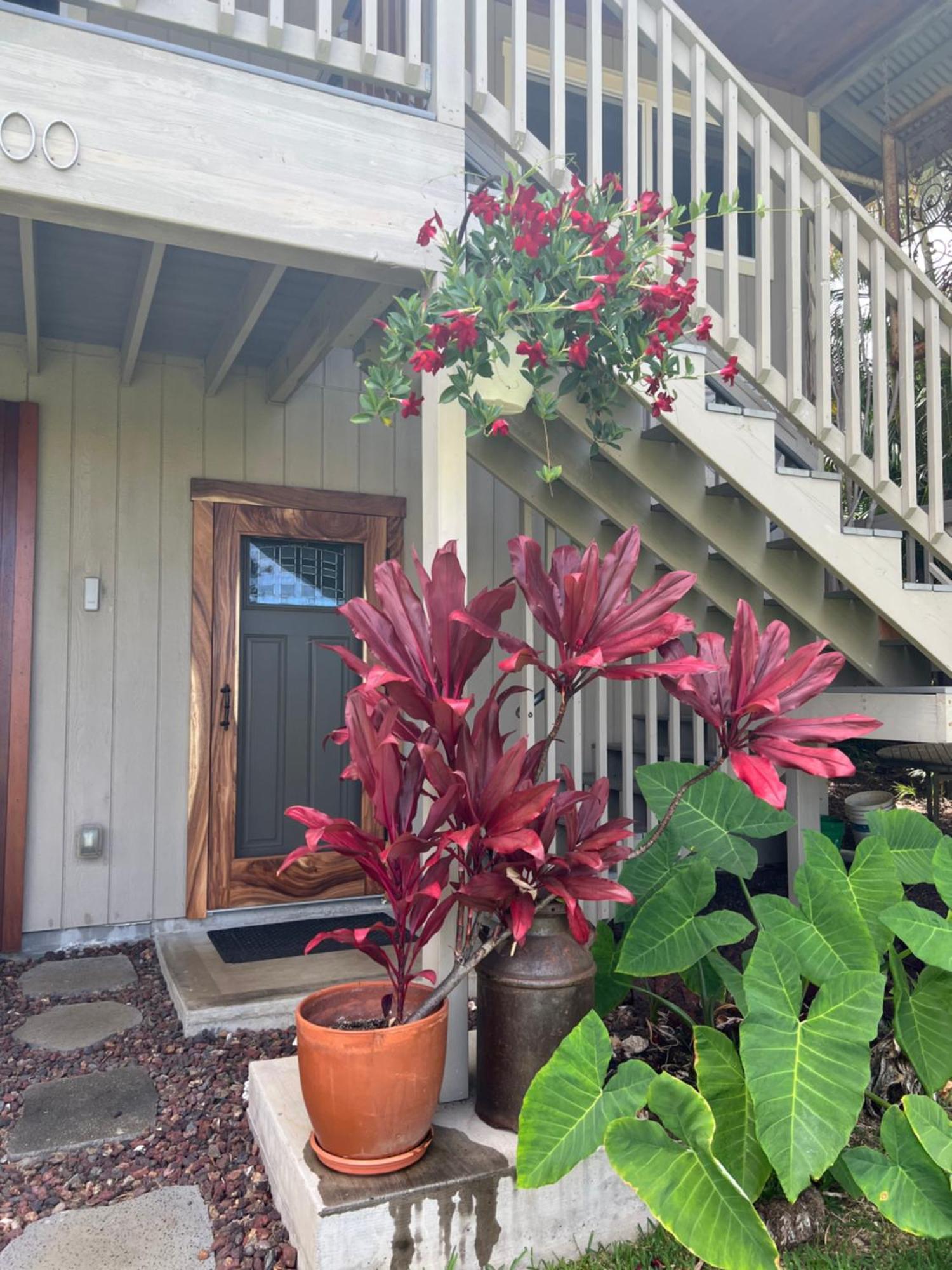 Private Ohana On The Lush Hamakua Coast With Ac Honokaa Extérieur photo