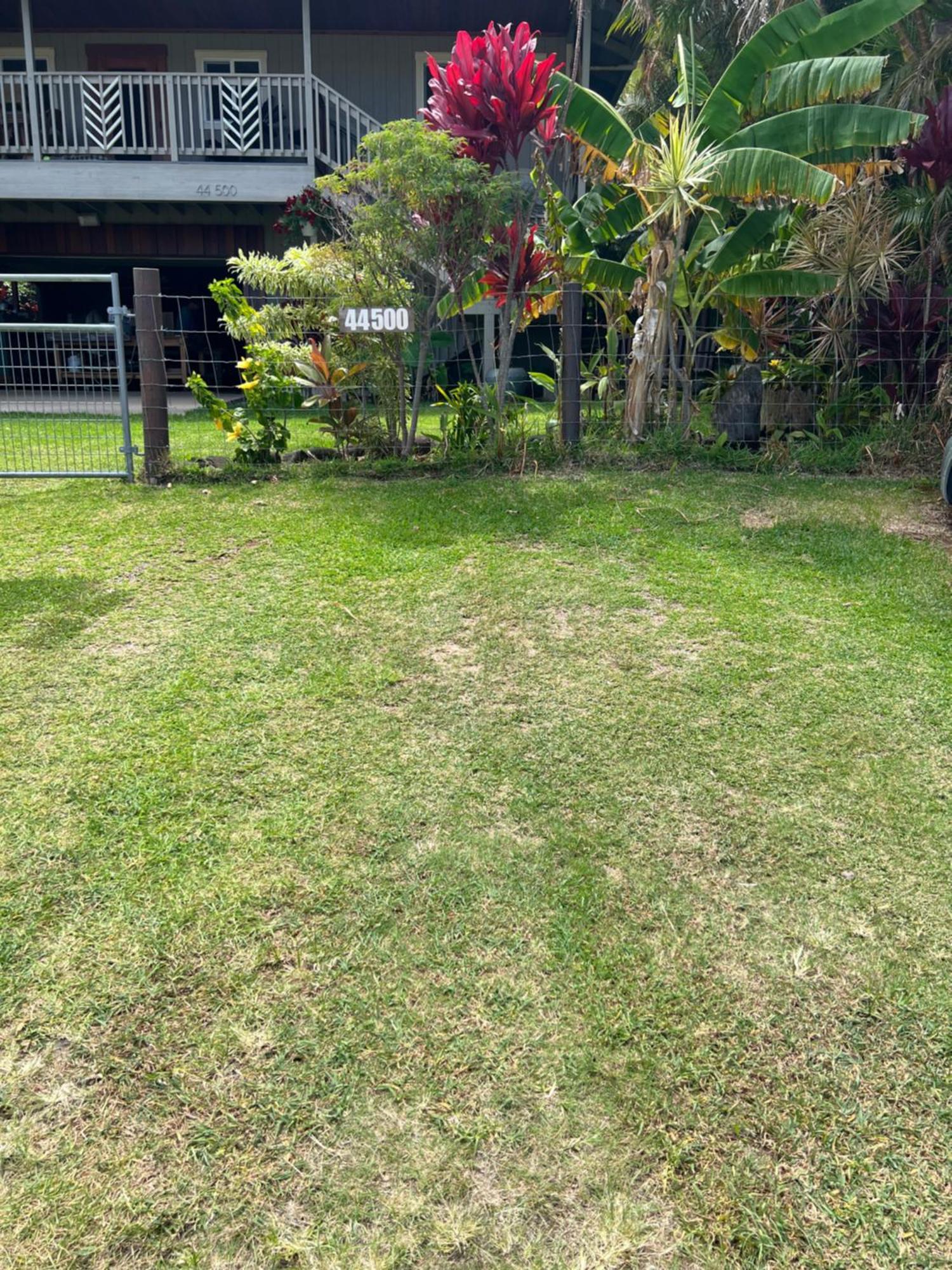 Private Ohana On The Lush Hamakua Coast With Ac Honokaa Extérieur photo