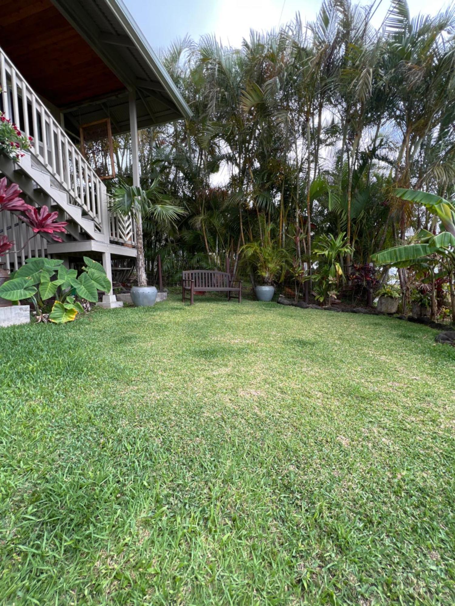 Private Ohana On The Lush Hamakua Coast With Ac Honokaa Extérieur photo